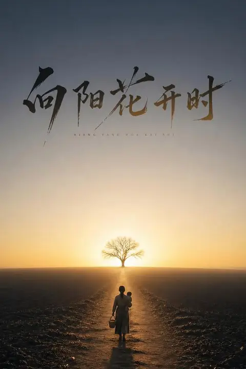 《向阳花开时》封面