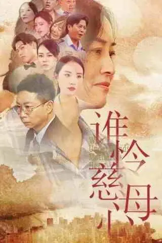 《谁怜慈母心》封面