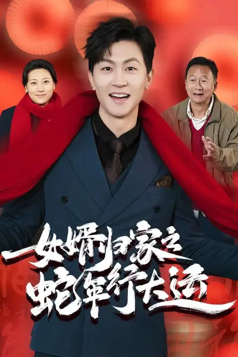 《女婿归家之蛇年行大运》封面