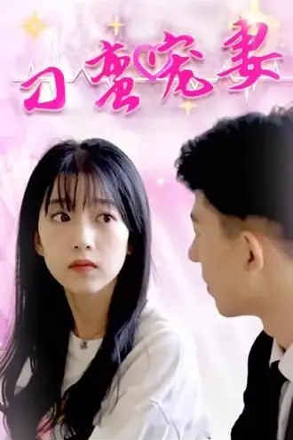《刁蛮宠妻》封面