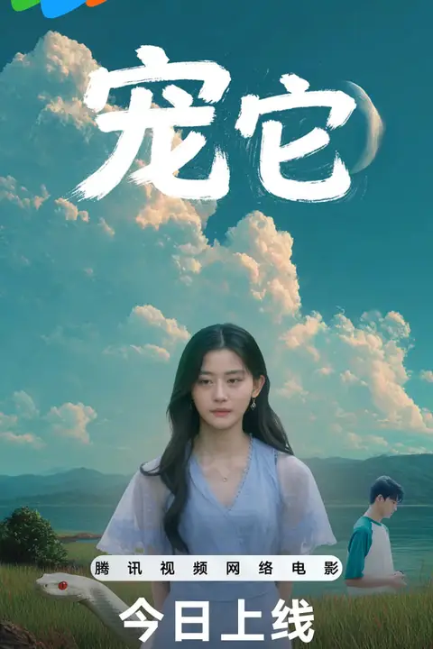 《宠它》封面