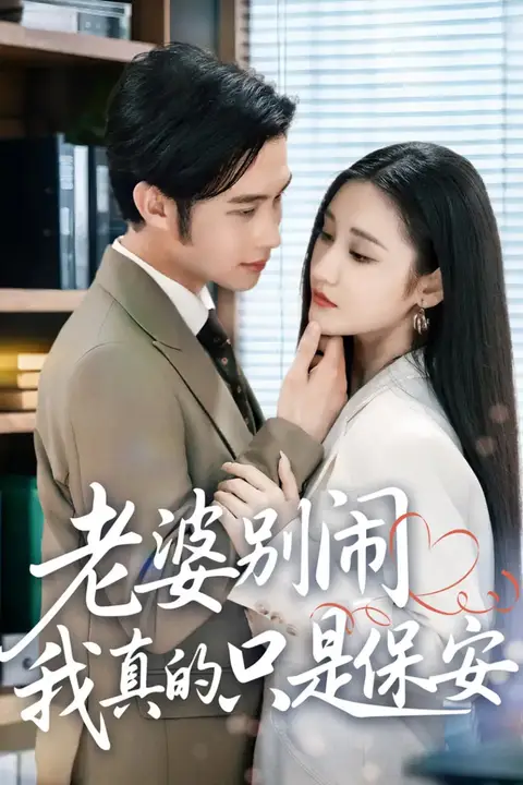 《老婆别闹我真的只是保安》封面