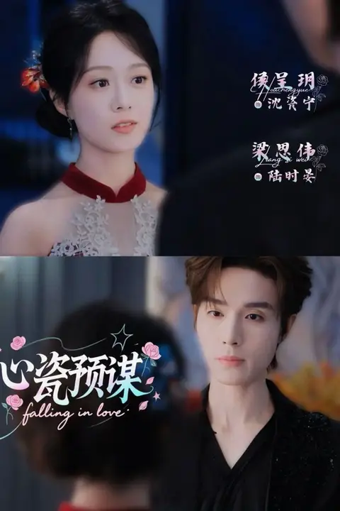 《心瓷预谋》封面