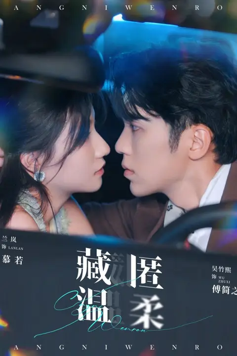 《藏匿温柔》封面