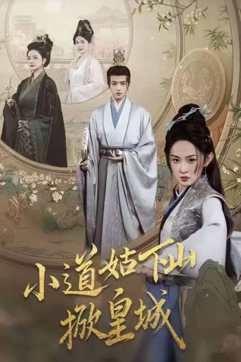 《小道姑下山掀皇城》封面