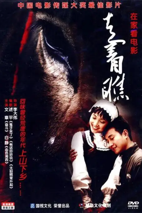 《走着瞧》封面