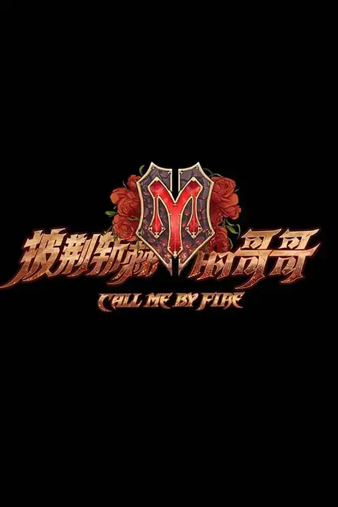 《披荆斩棘的哥哥》封面