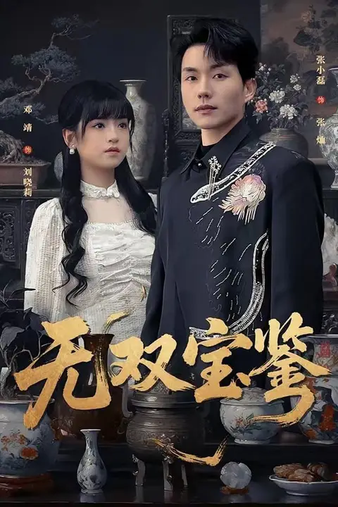 《无双宝鉴》封面