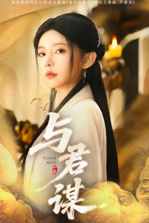 《与君谋》封面