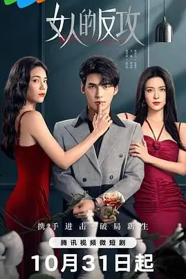 《女人的反攻》封面