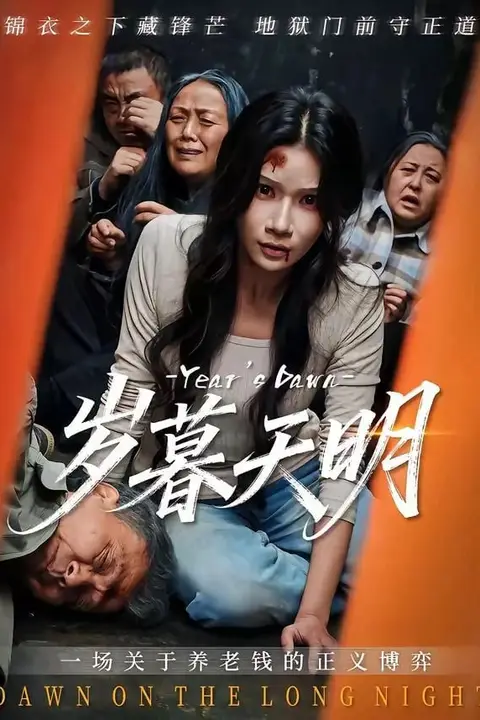 《岁暮天明》封面