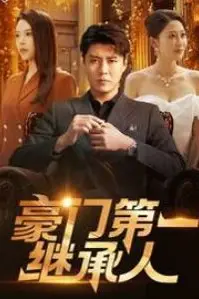 《豪门第一继承人》封面
