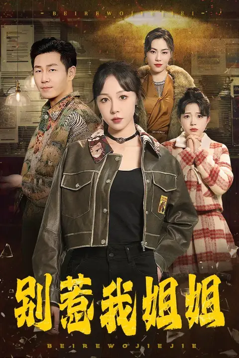 《别惹我姐姐》封面