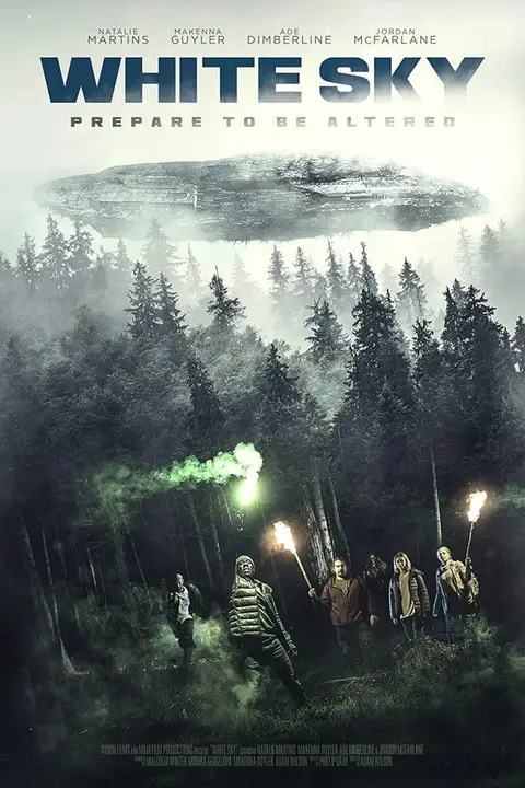 《苍白天空》封面