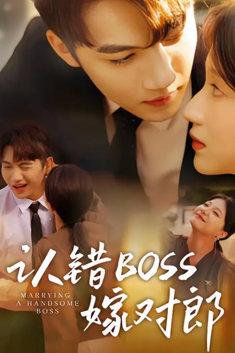 《认错boss嫁对郎》封面