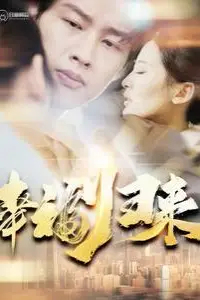 《幸福归来》封面