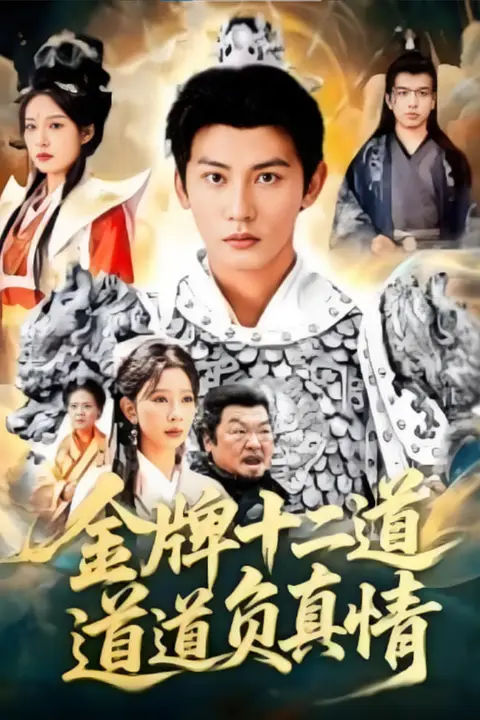 《金牌十二道道道负真情》封面