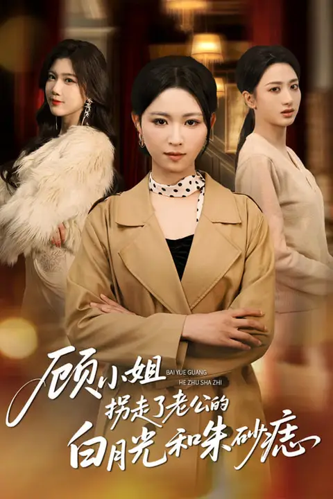 《顾小姐拐走了老公的白月光和朱砂痣》封面