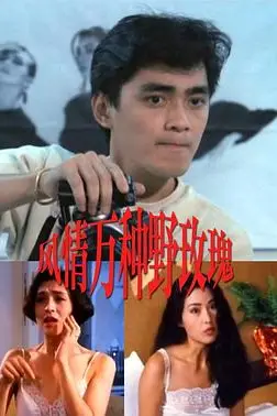 《风情万种野玫瑰》封面
