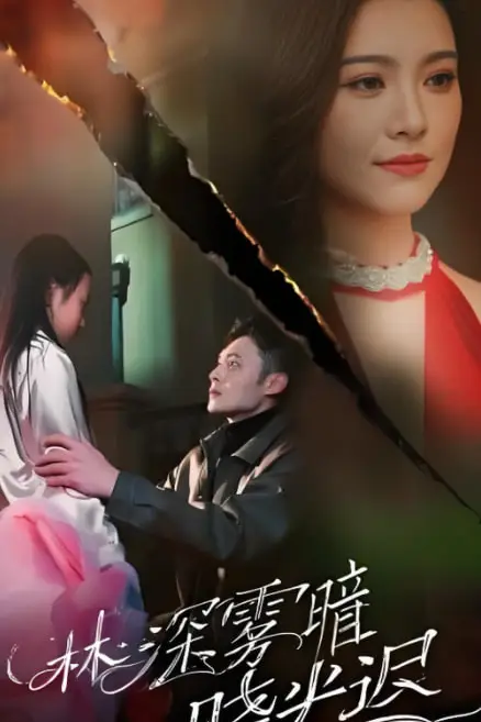 《林深雾暗晓光迟》封面