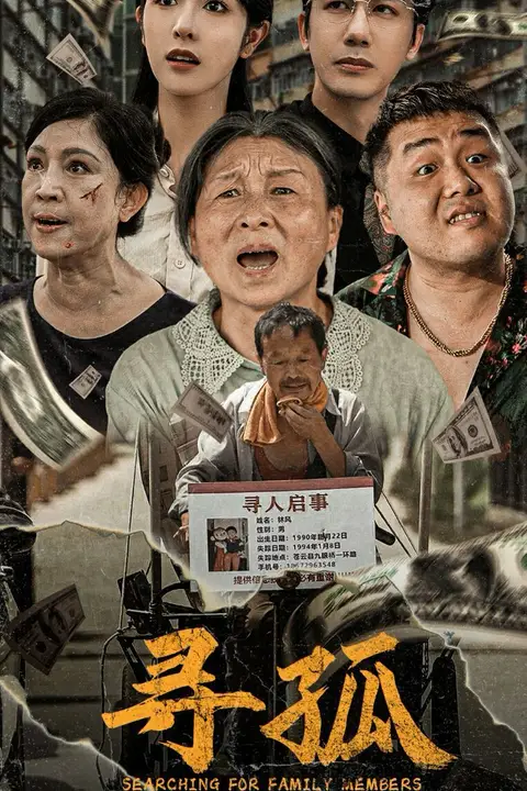 《寻孤》封面