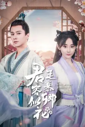 《君是慕容卿似花》封面