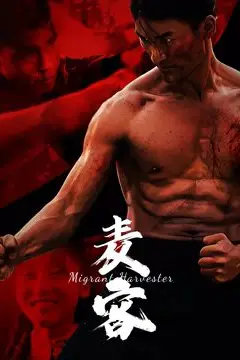 《麦客》封面