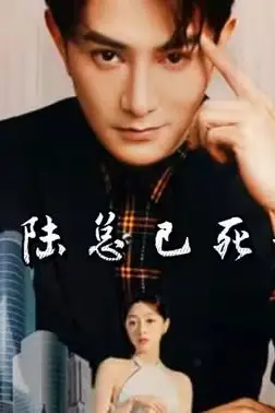 《夫人,陆总已死请节哀》封面