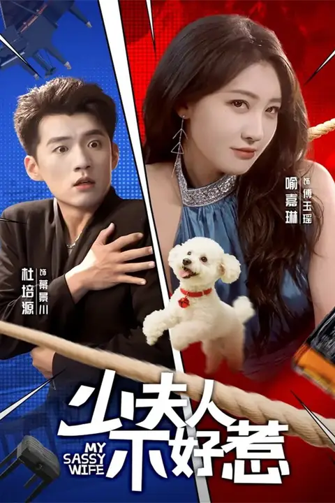 《少夫人不好惹》封面
