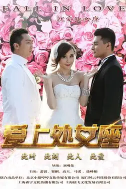 《爱上处女座》封面