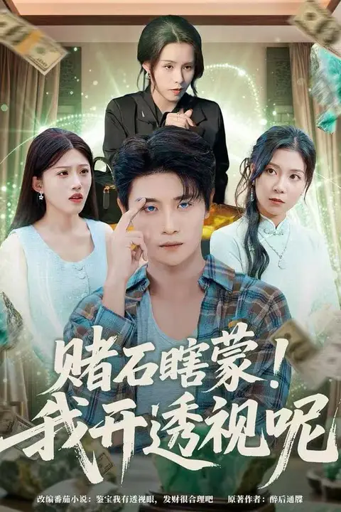 《赌石瞎蒙！我开透视呢》封面