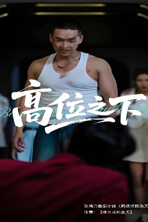 《高位之下》封面
