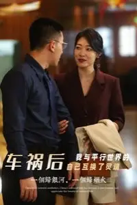 《车祸后我与平行世界的自己互换了灵魂》封面
