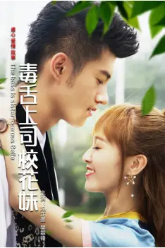 《毒舌上司校花妹》封面