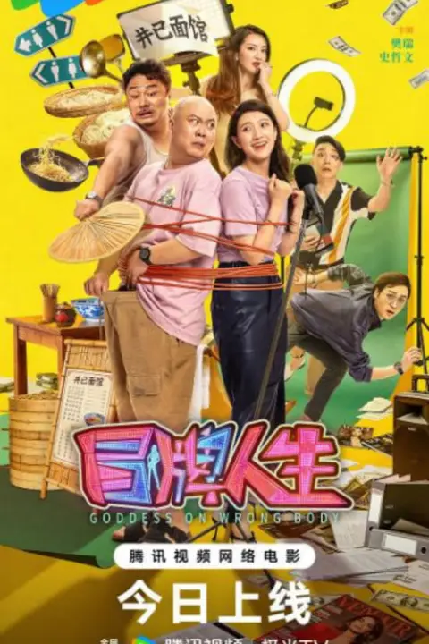 《冒牌人生》封面