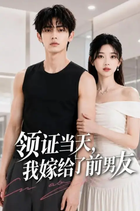 《领证当天，我嫁给了前男友》封面