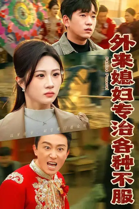 《外来媳妇专治各种不服》封面
