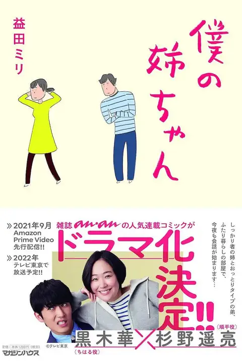 《我的姐姐》封面