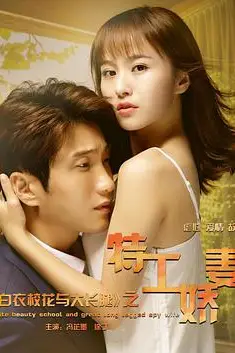 《白衣校花与大长腿之特工娇妻》封面