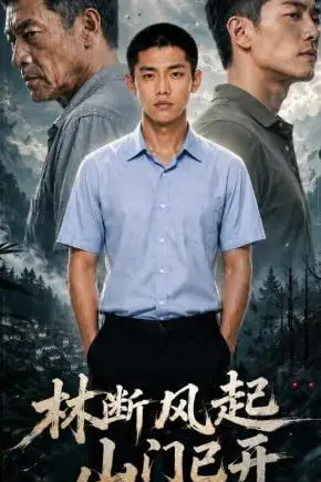 《林断风起山门已开》封面