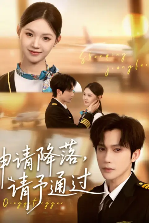 《申请降落请予通过》封面