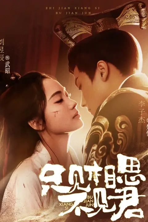 《只见相思不见君》封面