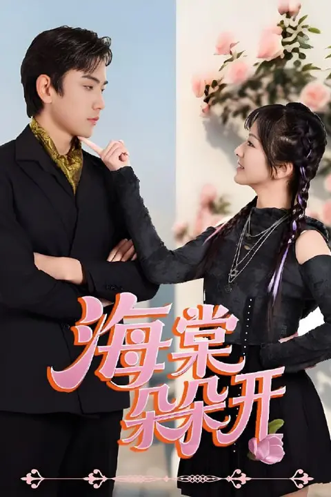 《海棠朵朵开》封面