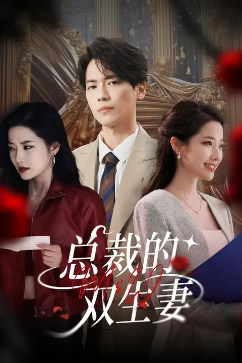 《总裁的双生妻》封面