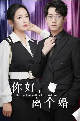 《你好，离个婚》封面