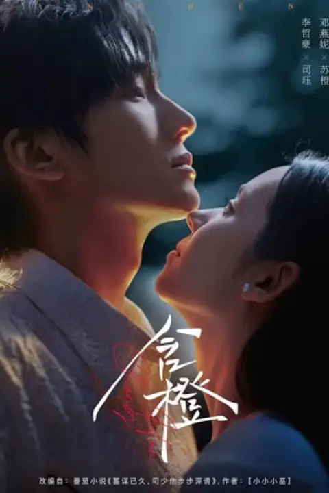 《含橙》封面