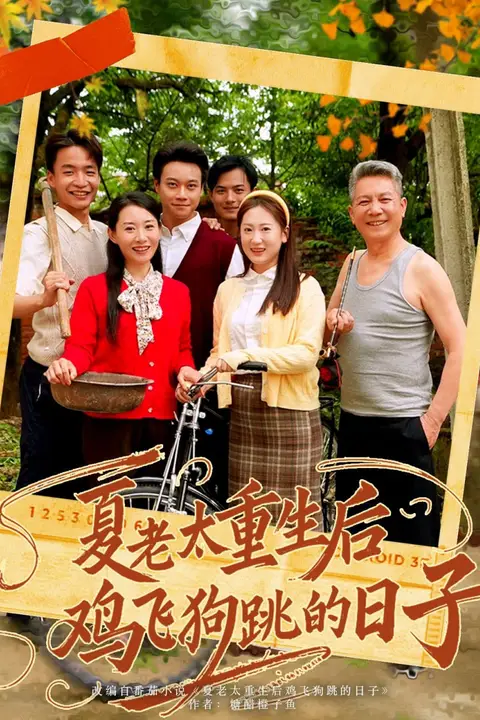《夏老太重生后鸡飞狗跳的日子》封面