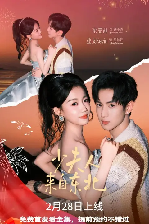 《少夫人来自东北》封面