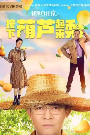 《我来自北京之按下葫芦起来梨》封面