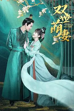 《双世萌妻》封面